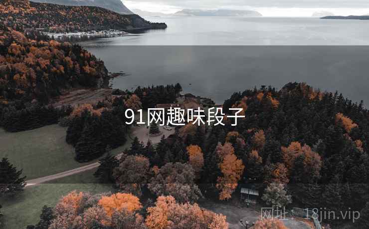 91网趣味段子 91网趣味段子
