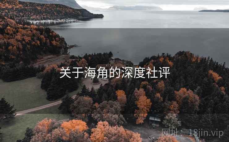 关于海角的深度社评