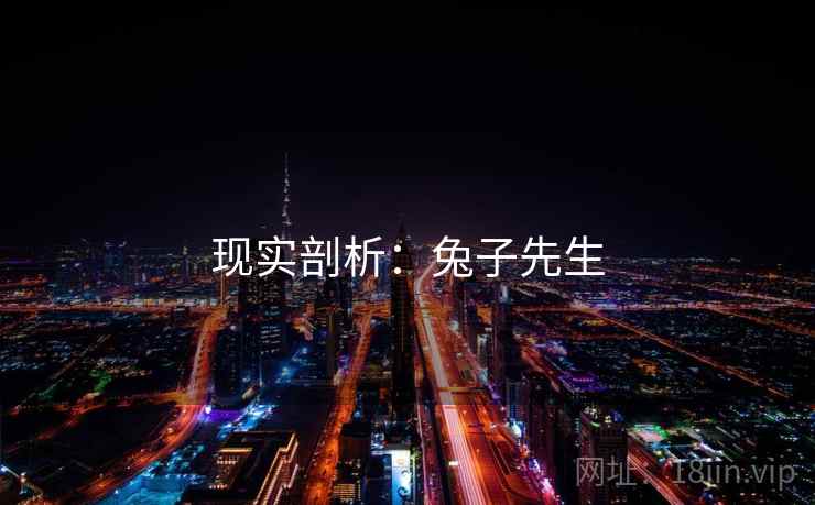 现实剖析:兔子先生 现实剖析:兔子先生