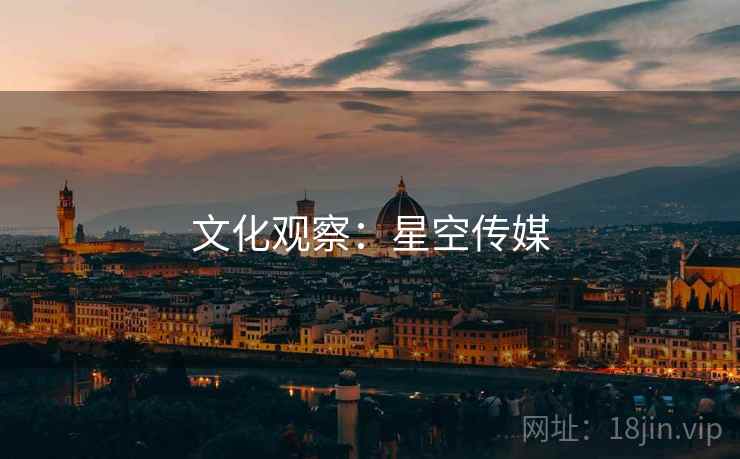 文化观察:星空传媒 文化观察:星空传媒