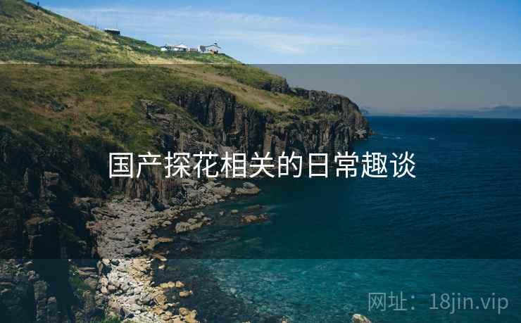国产探花相关的日常趣谈 国产探花相关的日常趣谈