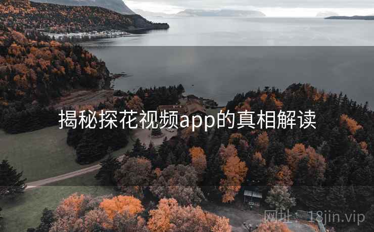 揭秘探花视频app的真相解读 揭秘探花视频app的真相解读