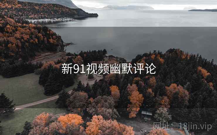 新91视频幽默评论 新91视频幽默评论