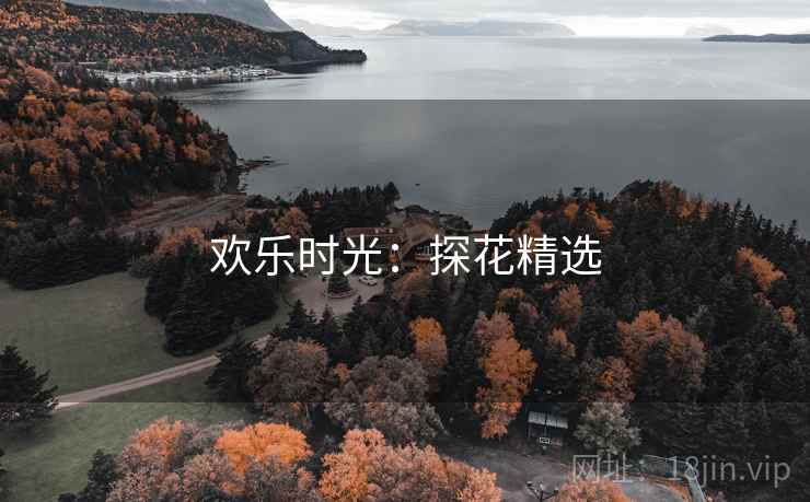 欢乐时光：探花精选