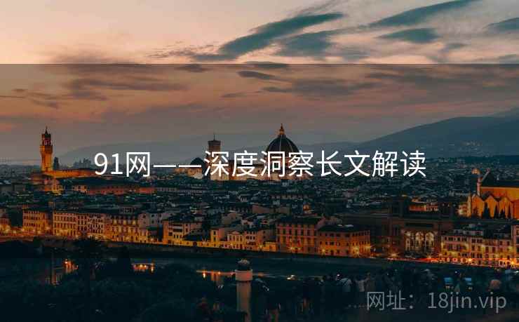 91网——深度洞察长文解读