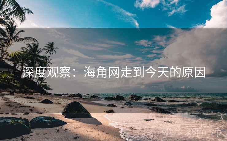 深度观察：海角网走到今天的原因