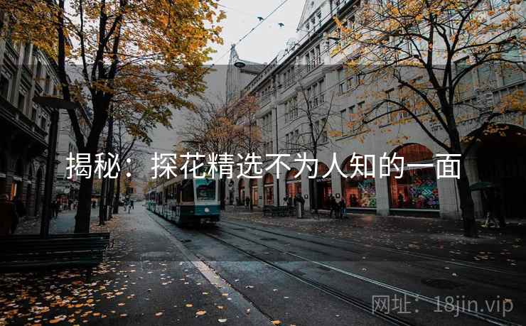 揭秘：探花精选不为人知的一面