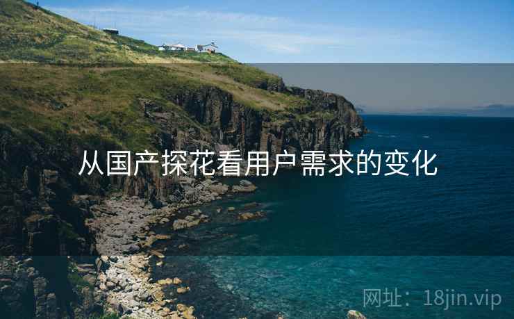 从国产探花看用户需求的变化 从国产探花看用户需求的变化