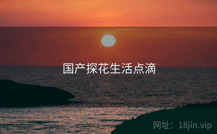 国产探花生活点滴