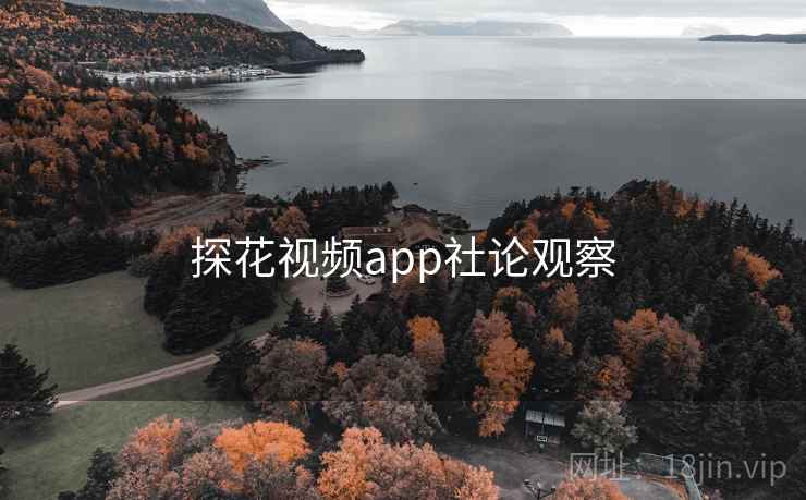 探花视频app社论观察 探花视频app社论观察