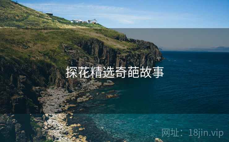 探花精选奇葩故事